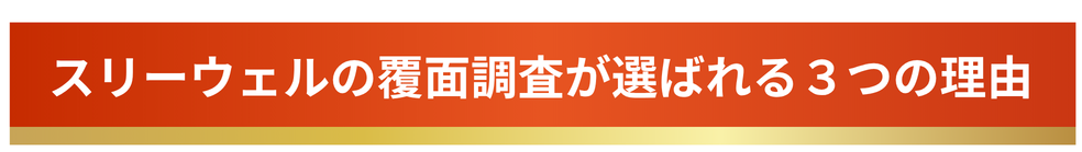 1店舗1万円！調査から改善提案までワンストップ伴走サポート「店舗力診断」