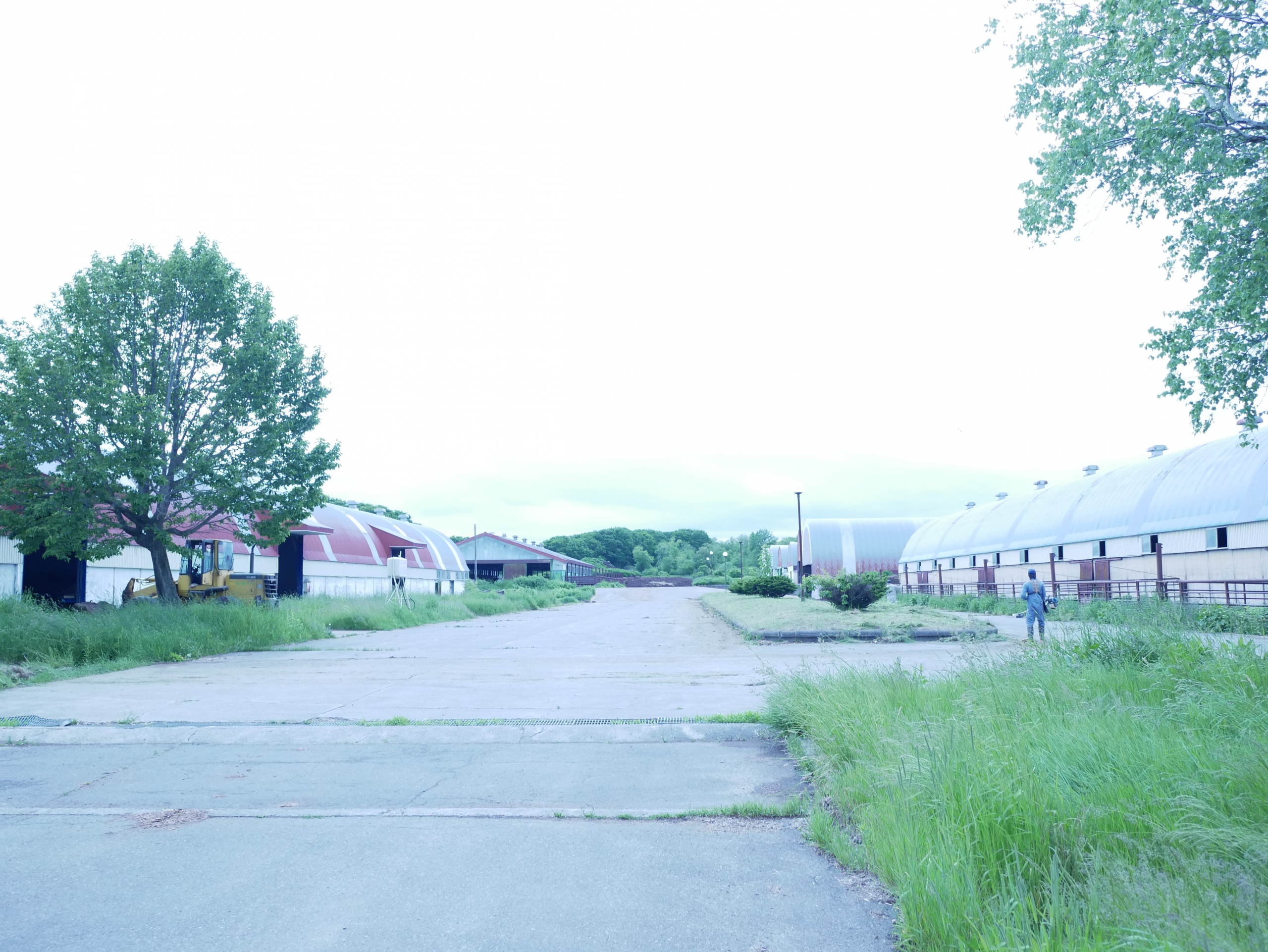 北海道帯広での牧場見学！